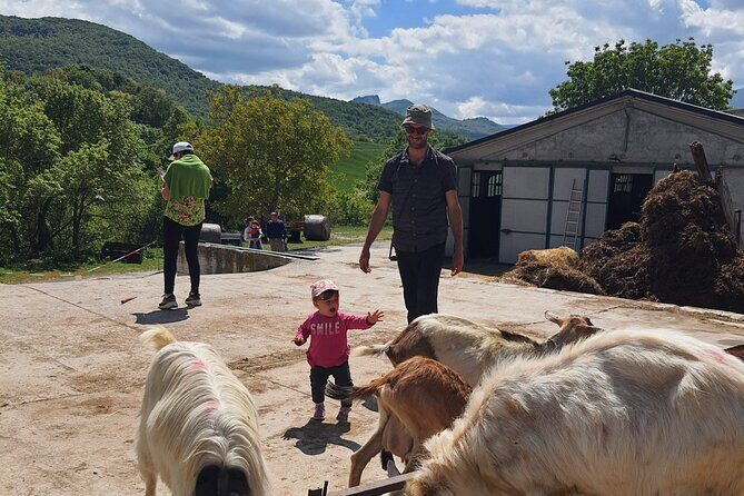 One day cheese making and tasting experience - What This Tour Tells Us About Authentic Travel