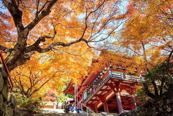 One Day Customized Self-Guided Tour in Nara - FAQ
