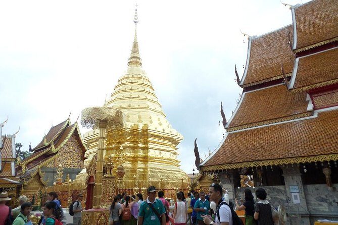 One day Doi Suthep Temple, Longneck hill tribe & Sticky waterfall - Exploring the Best of Chiang Mai in One Day