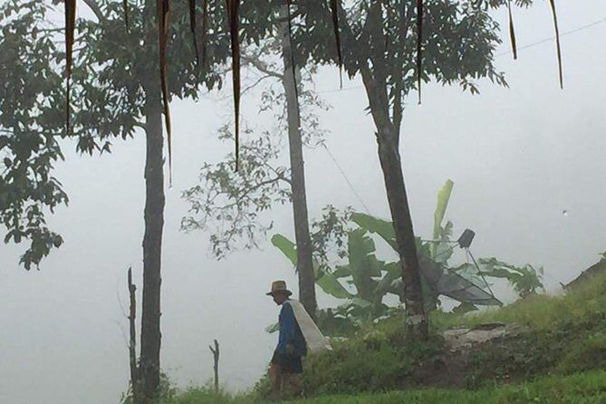 One day Elephants in Nature Experience & Grand Canyon Jumping - A Deep Dive into the Experience