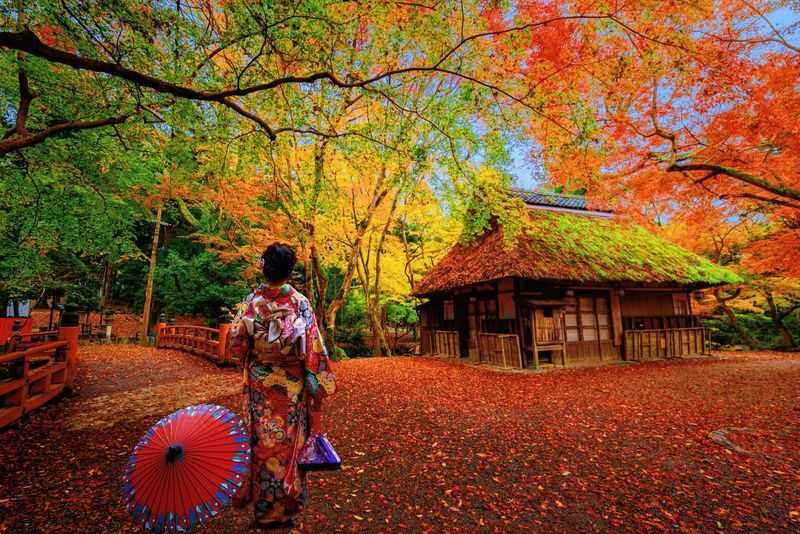 One-Day Exploration Tour of Yufuin and Yabakei for Autumn Foliage Viewing - At a glance
