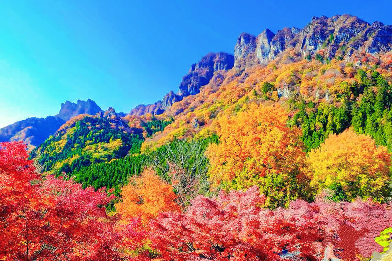 One-Day Exploration Tour of Yufuin and Yabakei for Autumn Foliage Viewing - Four Kyushu stops, one long day