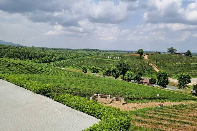 One Day Group Tour Experience in Chiangrai - FAQ