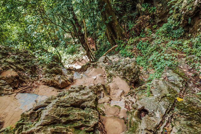 One Day Guided Tour: Kayaking, Zipline & Tubing In The Cave from Vang Vieng - What the Reviews Say