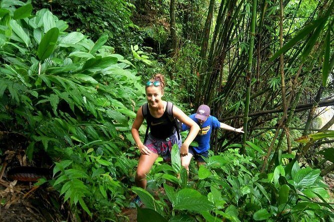 One Day Hiking and Elephant experience by Chiang Mai Elephant Home - Exploring Chiang Mai Elephant Home: More Than Just a Tour