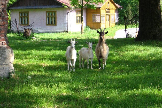 One day in the polish countryside- private tour from Krakow - Who Will Love This Tour?