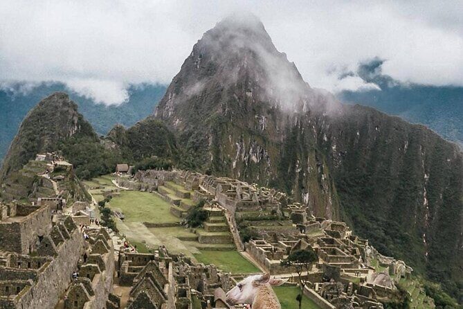 One Day in the Wonder of the World: Full Tour to Machu Picchu - Free Time to Discover on Your Own