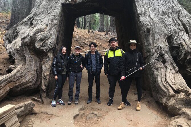 One Day In Yosemite Private Tour:Yosemite Valley, Glacier Point & Giant Sequoias - The Experience of a Guided Tour