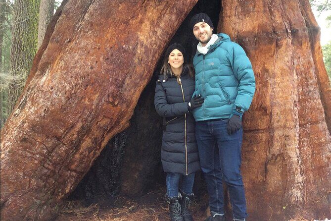 One Day In Yosemite Private Tour:Yosemite Valley, Glacier Point & Giant Sequoias - Who Should Consider This Tour