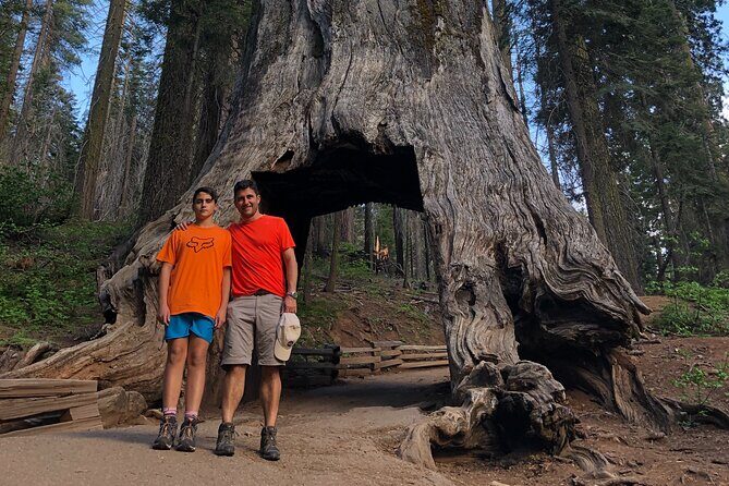 One Day In Yosemite Private Tour:Yosemite Valley, Glacier Point & Giant Sequoias - Final Thoughts: Is It Worth It?
