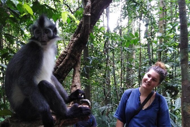 ONE DAY JUNGLE TREKKING 6-7 hours (see orang utan) + RAFTING in BUKIT LAWANG - Who Should Consider This Tour?