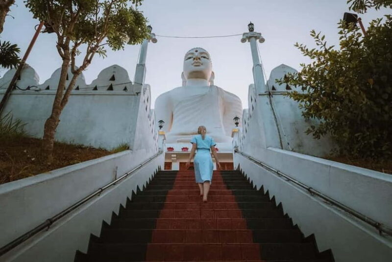 One Day Kandy Kingdom City Tour - Key Points