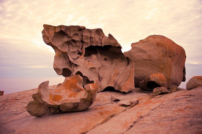 One Day Kangaroo Island Highlights Tour - Who Would Love This Tour?