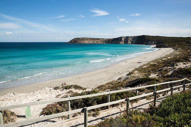 One Day Kangaroo Island Sip & See tour with return ferry transfers from Adelaide - A Deep Dive into the Kangaroo Island Sip & See Tour