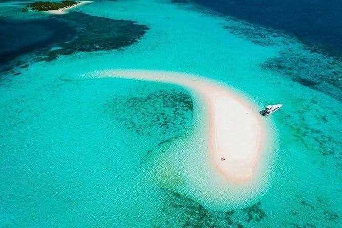 One Day Komodo Trip (Sailing) - An In-Depth Look at the One Day Komodo Sailing Trip