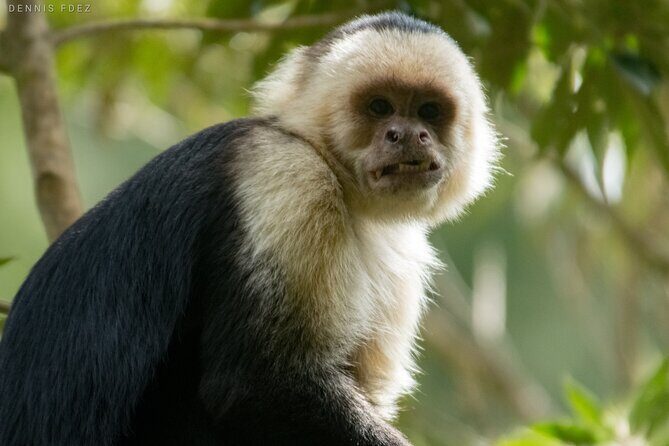 One Day Of Nature in Monteverde - Final Thoughts