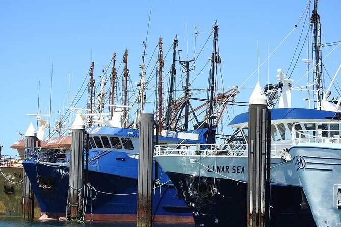 One Day Port Lincoln Tour - Tasting Eyre - Frequently Asked Questions