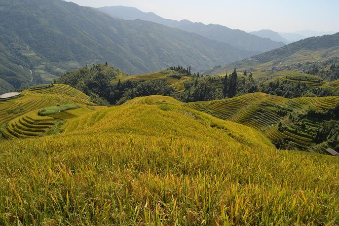 One Day Private Longji Rice Terraces with Minority village tour - The Return Journey and Overall Experience