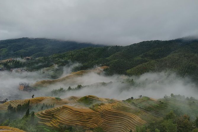 One Day Private Longji Rice Terraces with Minority village tour - In-Depth Breakdown: Why This Tour Stands Out