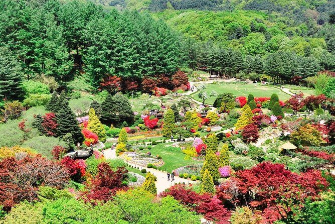 One Day Private Tour-Nami, Petite and Garden of Morning Calm - Exploring Korea’s Scenic and Cultural Highlights in One Day