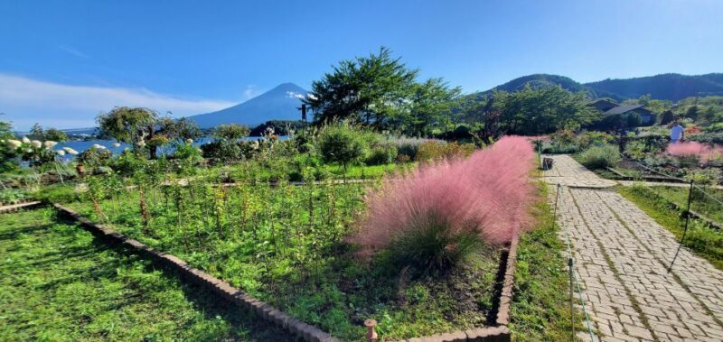 One Day Private Tour of Mount Fuji - Key Points