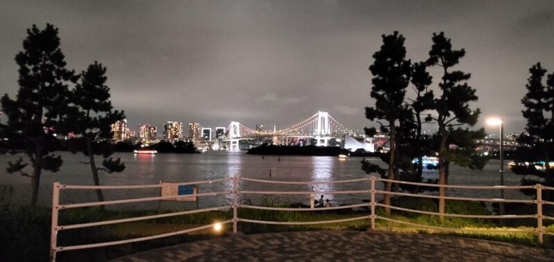 One Day Private Tour of Tokyo Famous Places - A Deep Dive into the Tokyo Private Tour