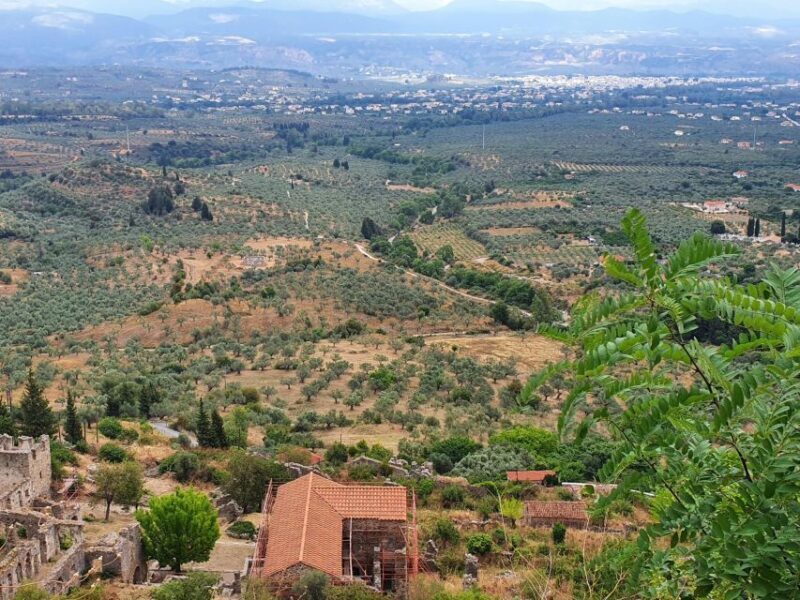 One Day Private Tour to Glory of Ancient Sparta and Mystras - Final Thoughts