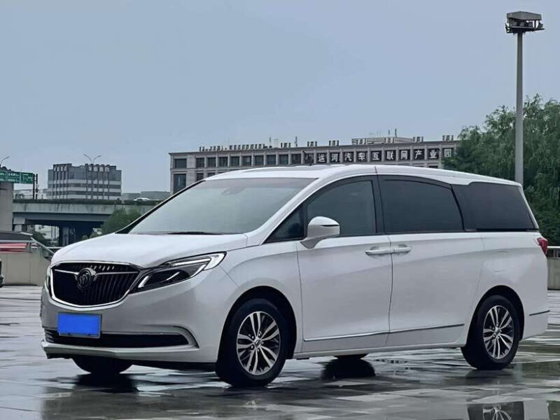 One-day private transfer service to Leshan from Chengdu - The Sum Up