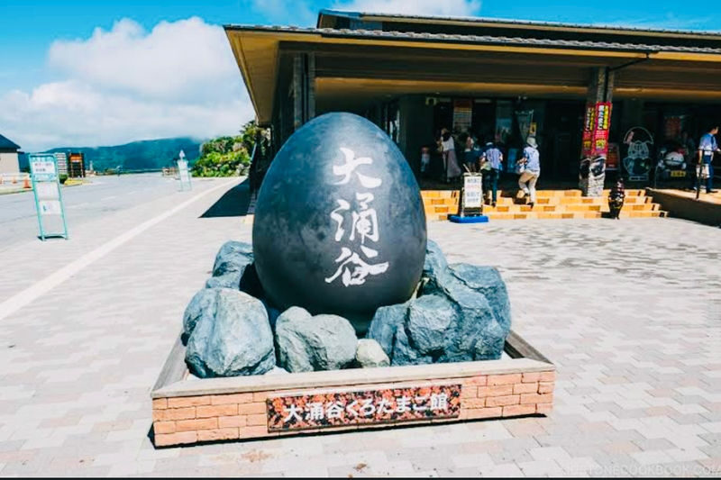 One Day Private Trip to Hakone with English Speaking Driver - A private ride changes the shape of the day