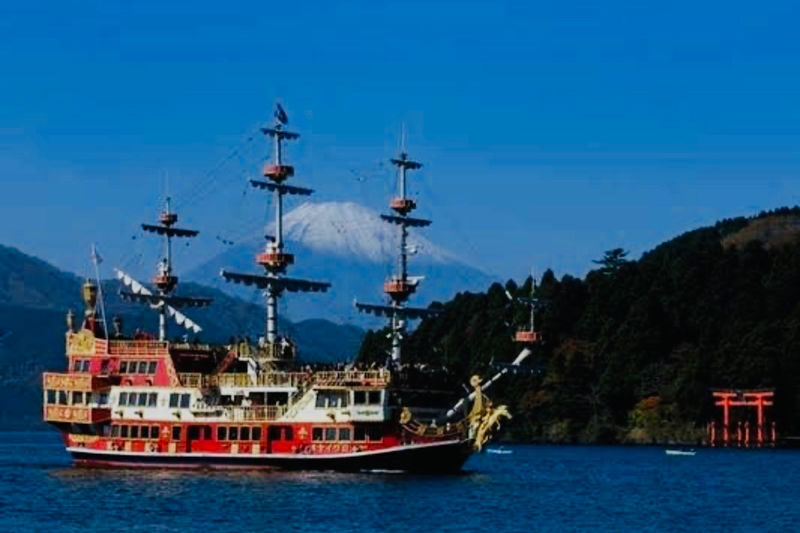 One Day Private Trip to Hakone with English Speaking Driver - The ropeway: a scenic link, not a guided tour