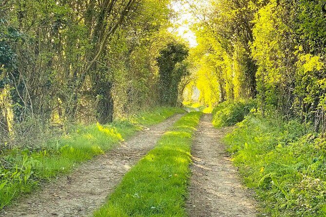One Day Road Trip from London to The Cotswolds - Final Verdict: Why Choose This Tour?