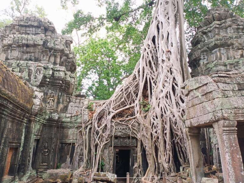 One Day Shared Trip to Angkor Temples with sunset - Who Will Love This Tour?