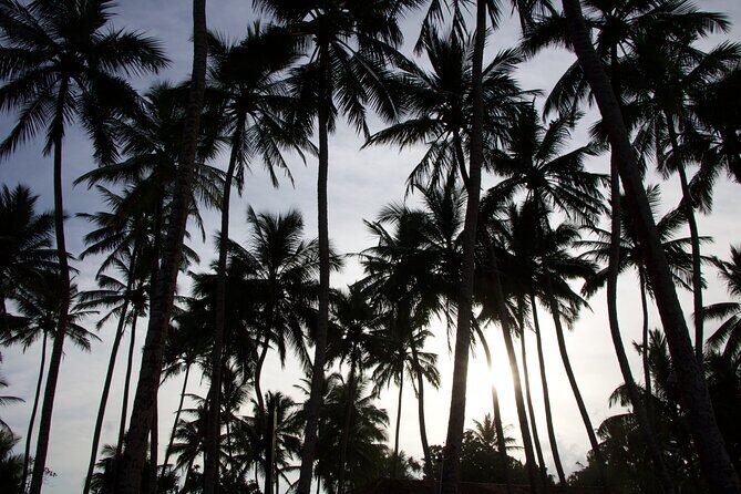 One Day Shore Excursion to Down south Sri Lanka - Final Thoughts