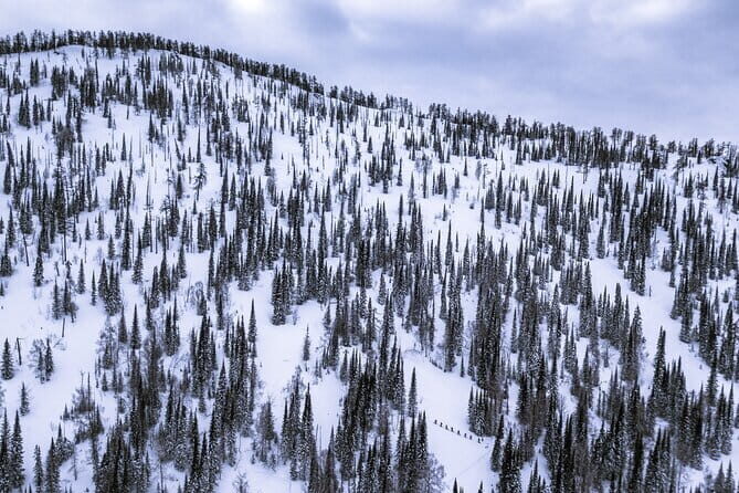 One Day Ski Tour Near Almaty - A Deep Dive into the Experience