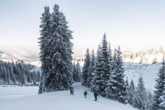 One Day Ski Tour Near Almaty - Who Will Love This Tour?