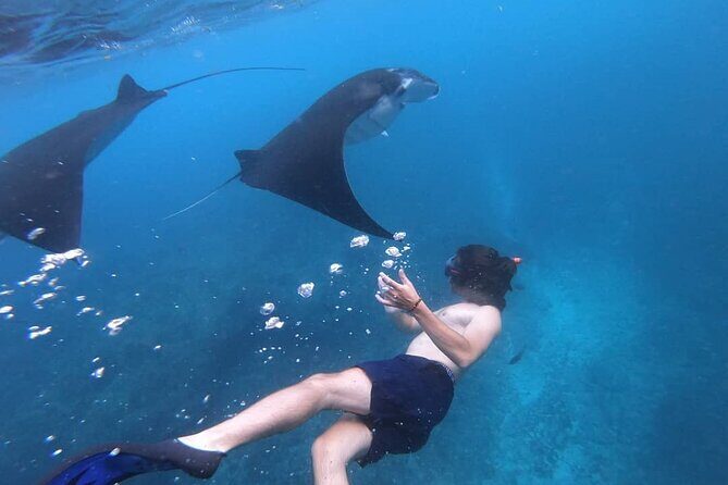 One Day Snorkeling Trip & West Tour Nusa Penida by Penidago - Who Should Consider This Tour?