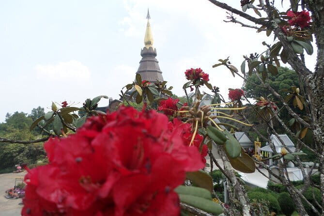 One day tour Doi Inthanon National Park and Trekking on Kew Mae Pan Trail - Final Thoughts: Is This Tour Right for You?