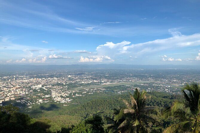One Day Tour Doi Suthep Temple, Palad Temple, Orchid Farm, Longneck hill tribe village (Private tour) - The Full Experience: What to Expect at Each Stop