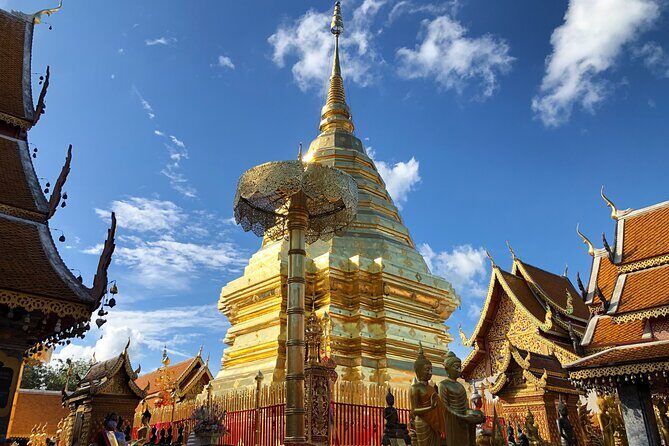 One Day Tour Doi Suthep Temple, Palad Temple, Orchid Farm, Longneck hill tribe village (Private tour) - Who Should Consider This Tour?