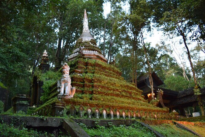 One Day Tour Doi Suthep Temple, Palad Temple, Orchid Farm, Longneck hill tribe village (Private tour) - FAQ