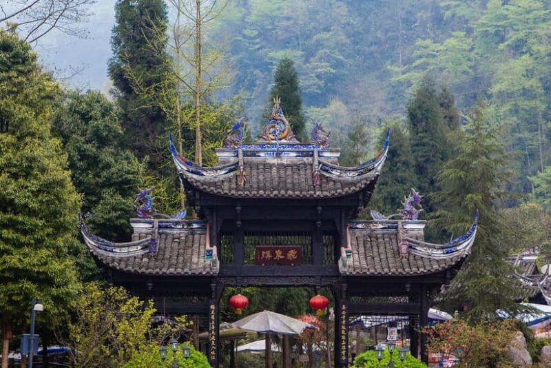 One-Day Tour: Dujiangyan, Mount Qingcheng, Panda Valley - Who Should Consider This Tour?