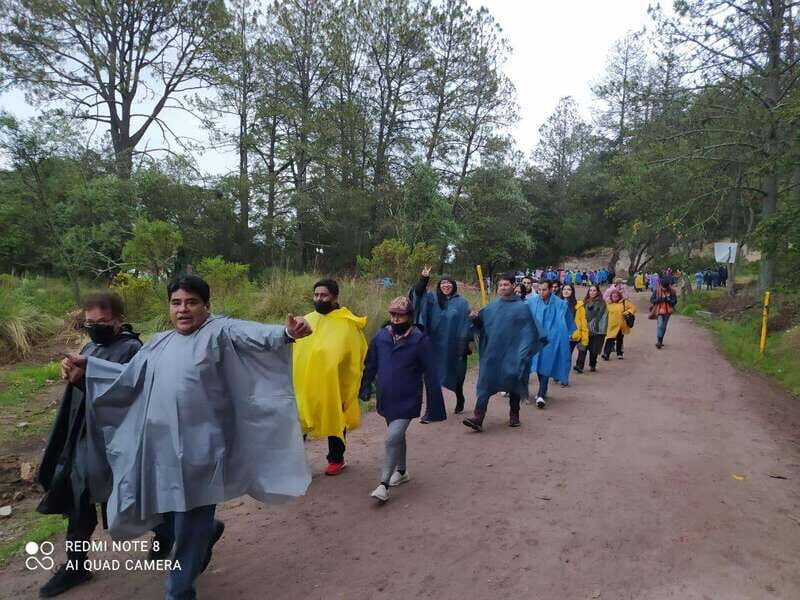 One day tour from Mexico City to Firefly Sanctuary - Key Points