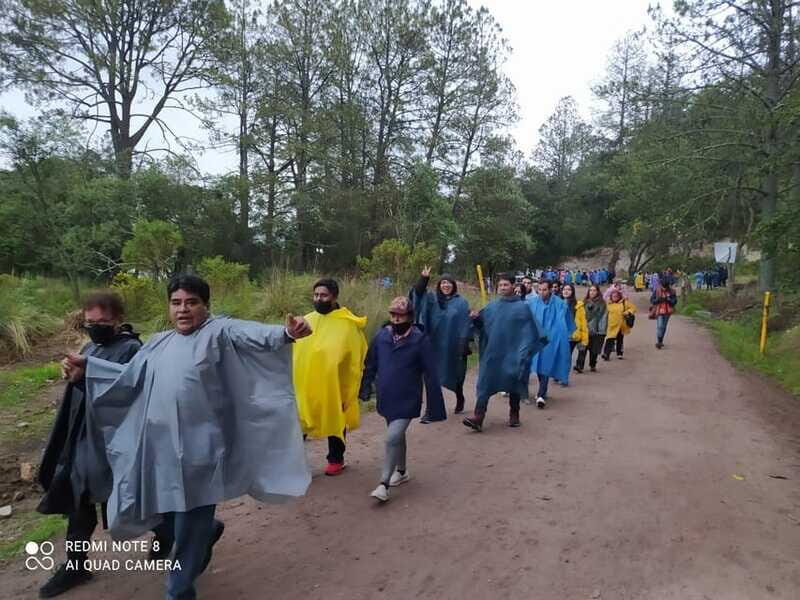 One day tour from Mexico City to Firefly Sanctuary - Authenticity and Practical Tips