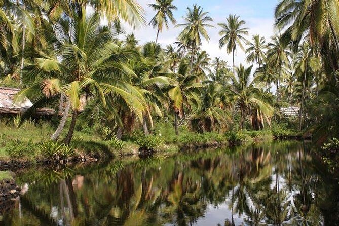 One-Day Tour Hawaii Movie Tour: Island Hopping from Oahu to Kauai - The Real Story Behind the Hawaii Movie Tour