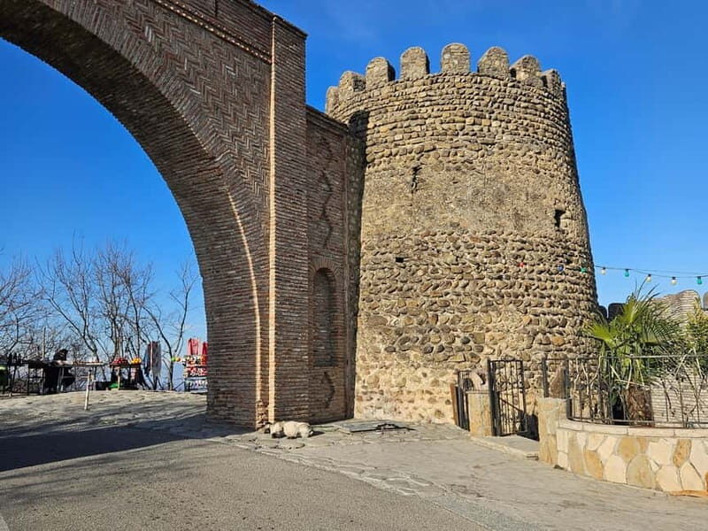 One-day tour in Kakheti with a guide and free wine tasting - Who Should Take This Tour?