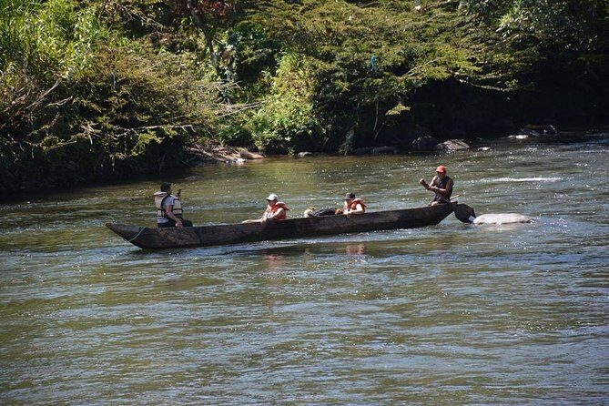 One day tour in the jungle. all inclusive. - Exploring Ecuador’s Jungle — What to Expect