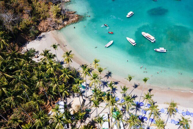 One day Tour Isla Tortuga with Lunch from Puntarenas - The Experience of Wildlife and Nature