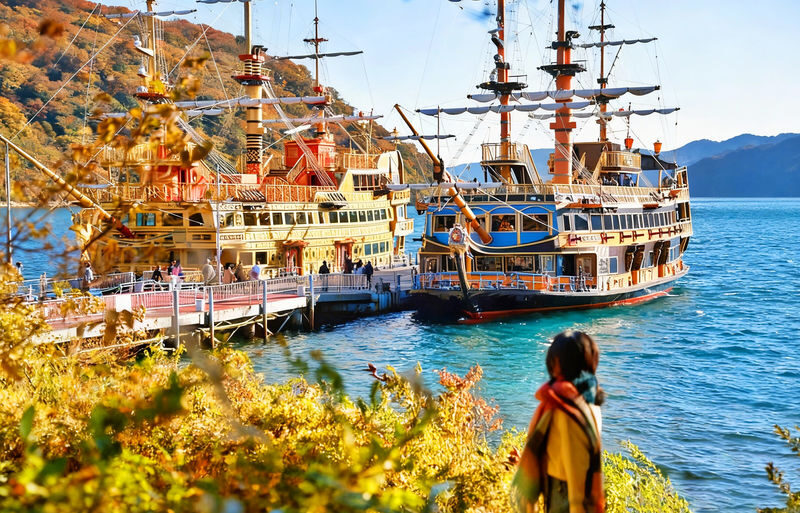 One-day tour of 6 attractions in Tokyo, Hakone, and Mount Fuji - Key points before you book