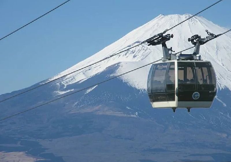 One-day tour of 6 attractions in Tokyo, Hakone, and Mount Fuji - Guides make the busy day easier