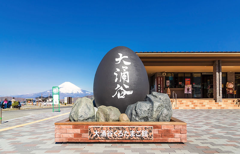 One-day tour of 6 attractions in Tokyo, Hakone, and Mount Fuji - Is $49.29 good value?
